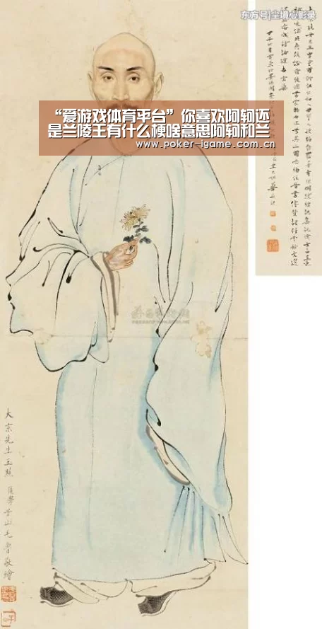 “爱游戏体育平台”你喜欢阿轲还是兰陵王有什么梗啥意思阿轲和兰陵王内涵套路(图1) 爱游戏体育app